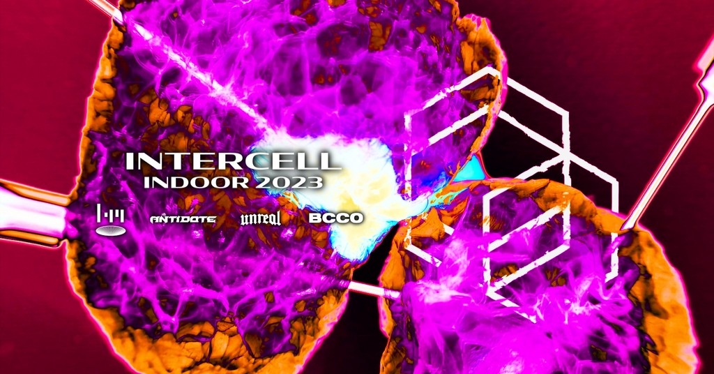 Intercell Indoor 2023 Festival