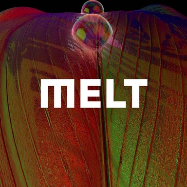 Melt Festival 2022 Logo